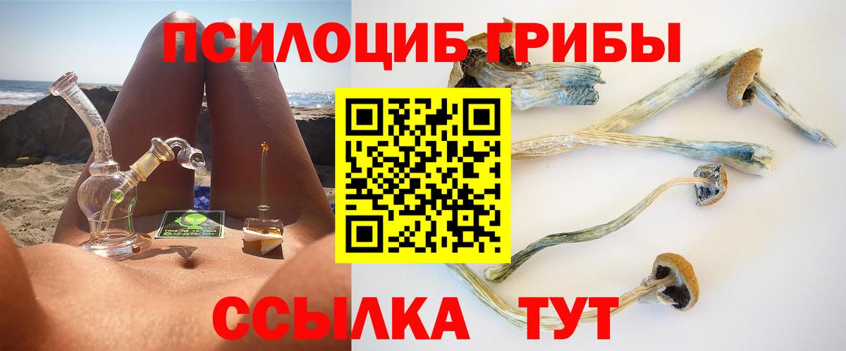 Галлюциногенные грибы мицелий Тельмана